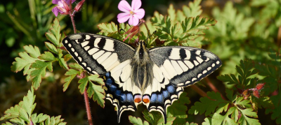 Naturfoto- und Filmabend 2026 Naturfoto- und Filmabend 2026